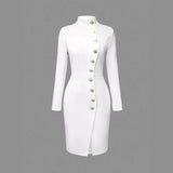 Fall Fashion Slim Dress – Stand Collar with Metal Button Detail